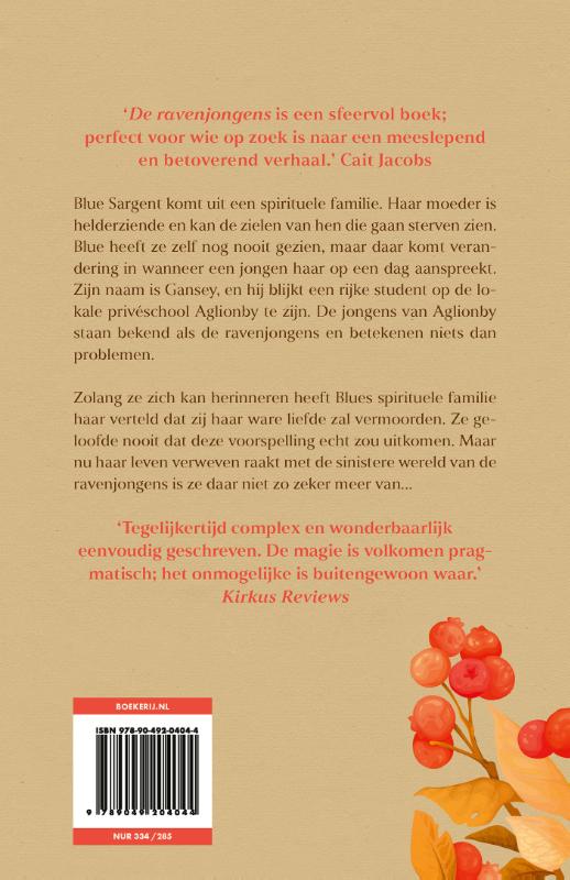 nederlands romantasy boek